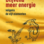 n-blijvend-meer-energie-volgens-de-vijf-elementen-122-469